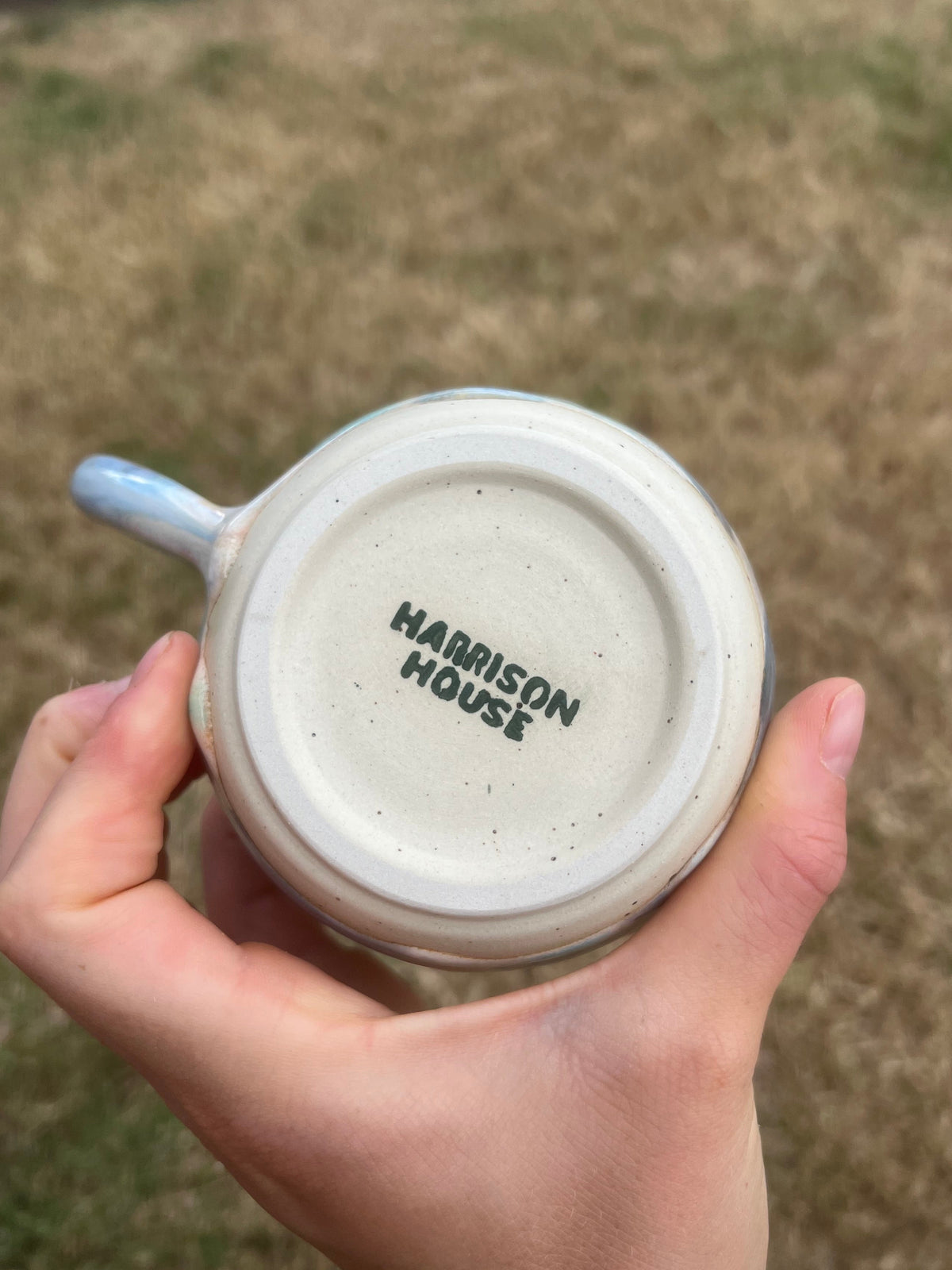 Misty Morning Mug 2