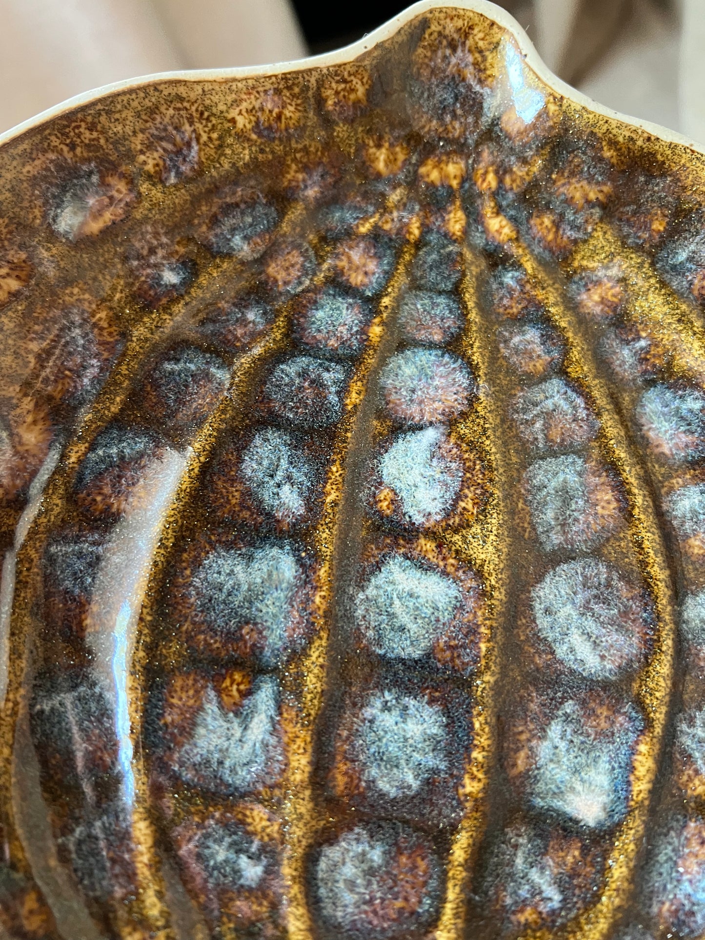 Pumpkin Plate 5