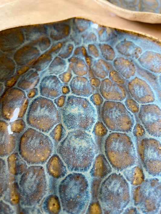 Pumpkin Plate 10
